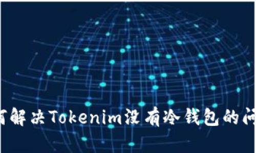 如何解决Tokenim没有冷钱包的问题?
