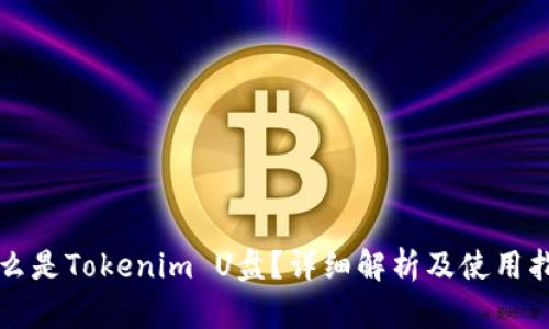 什么是Tokenim U盘？详细解析及使用指南