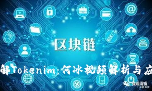 深入了解Tokenim:何冰视频解析与应用前景