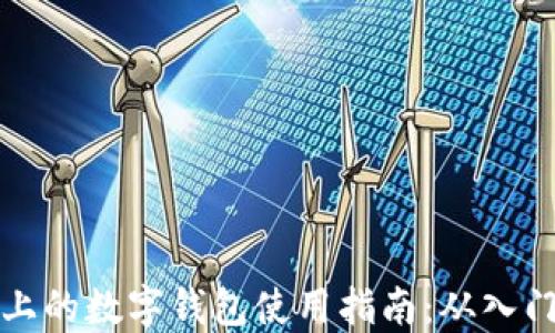 
区块链上的数字钱包使用指南：从入门到精通