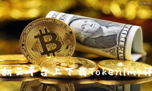 如何在翻云平台上下载Tokenim：详细指南