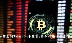 如何支付Tokenim手续费：详
