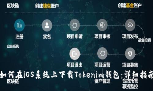 如何在iOS系统上下载Tokenim钱包：详细指南
