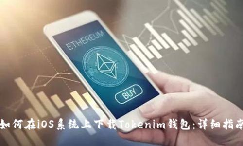 如何在iOS系统上下载Tokenim钱包：详细指南