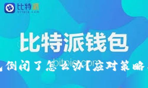 虚拟币钱包倒闭了怎么办？应对策略与风险规避