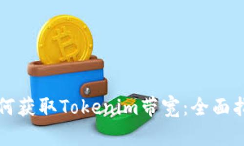 如何获取Tokenim带宽：全面指南