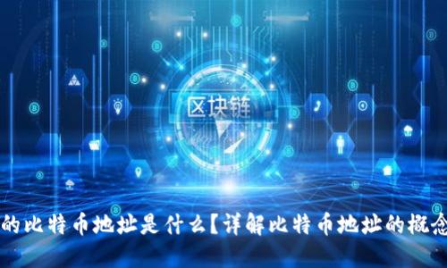 钱包里的比特币地址是什么？详解比特币地址的概念与使用