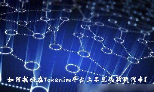 如何找回在Tokenim平台上不见的狗狗代币？