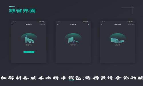 详细解析各版本比特币钱包：选择最适合你的版本