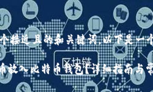 为了给出一个接近且的和关键词，以下是一个示例：

如何将BCD币放入比特币钱包？详细指南与常见问题解答