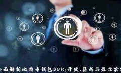 全面解析比特币钱包SDK：开发、集成与最佳实践